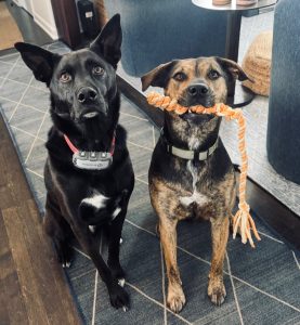 Kenai & Denali
